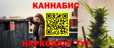 стаф Лесосибирск